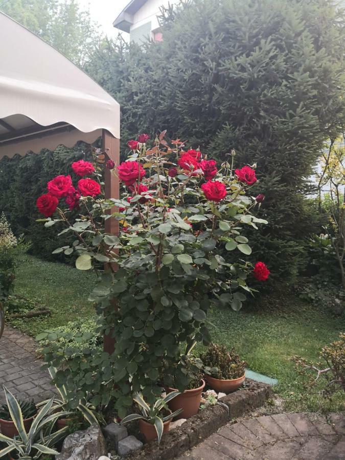 La Casa Di Tino Fontanellato